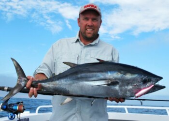 REPORT: Tuna season hits top gear